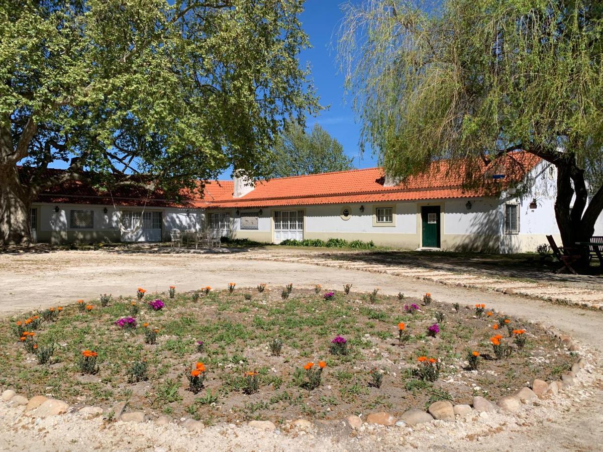 Hotel Quinta Da Torre Alpiarça Exterior foto